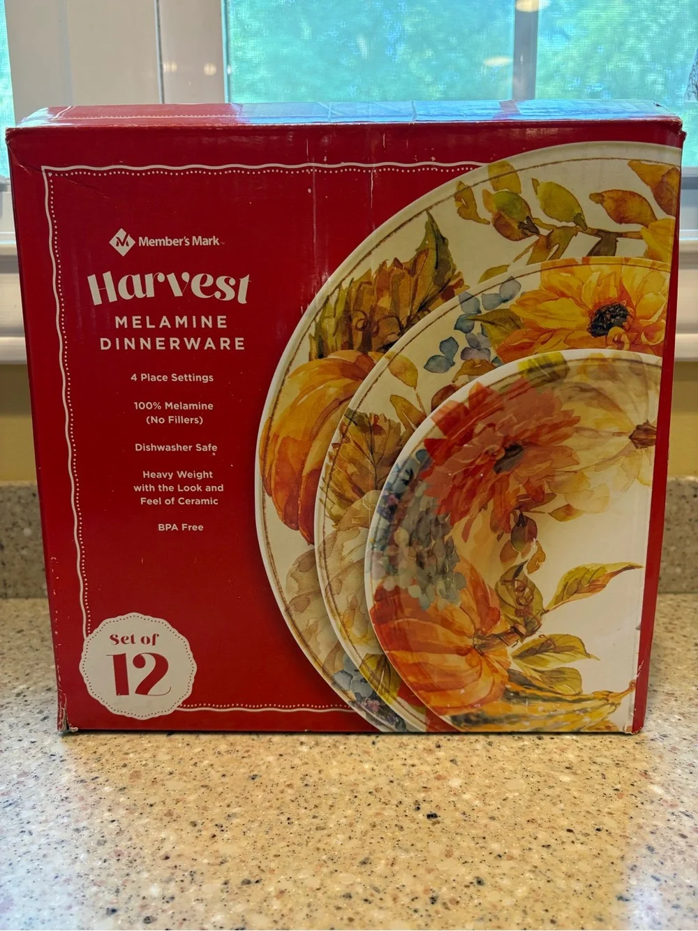 Member’s Mark Harvest Melamine Dinnerware, **Originally 4 Place Setting**